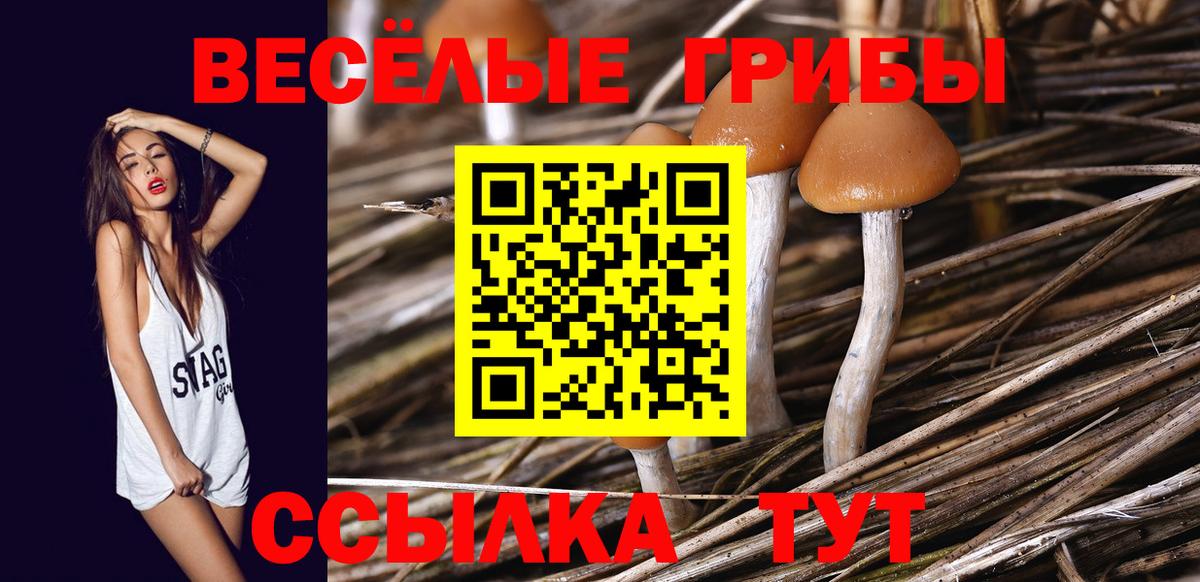 Галлюциногенные грибы MAGIC MUSHROOMS  Галлюциногенные грибы мицелий  Вход с VPN  Кушва 