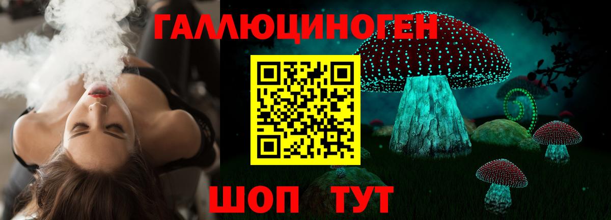 Псилоцибиновые грибы GOLDEN TEACHER Кушва